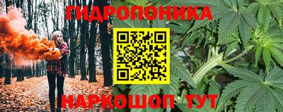 стафф Рязань