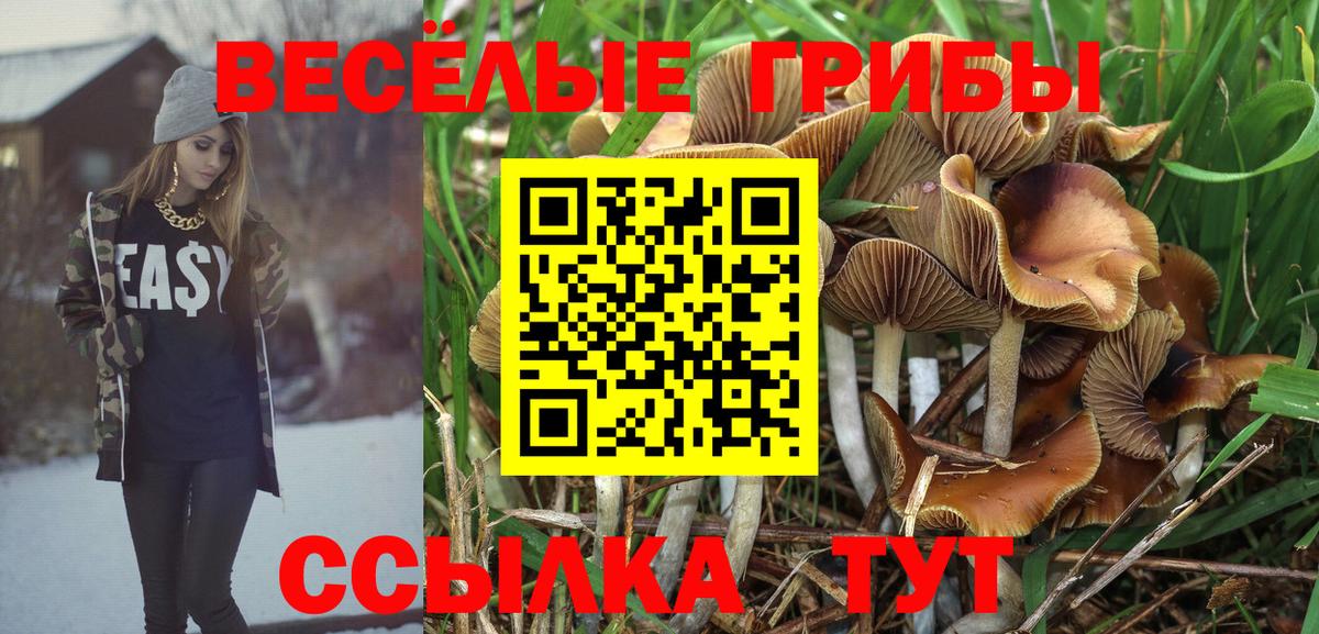 Псилоцибиновые грибы Magic Shrooms  как найти закладки  Рославль  Псилоцибиновые грибы Magic Shrooms  Вход с VPN 