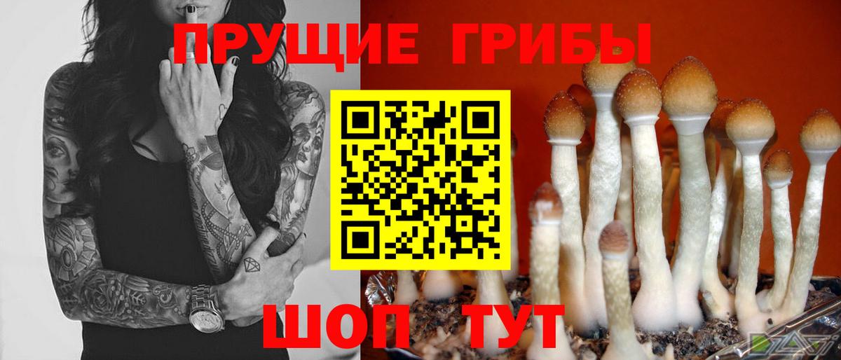 Галлюциногенные грибы прущие грибы Рославль
